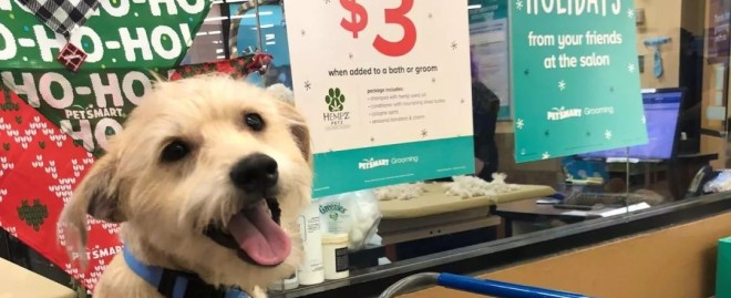  Discover the Best Mini Pet Mart Near Me: Your Ultimate Guide to Local Pet Supplies